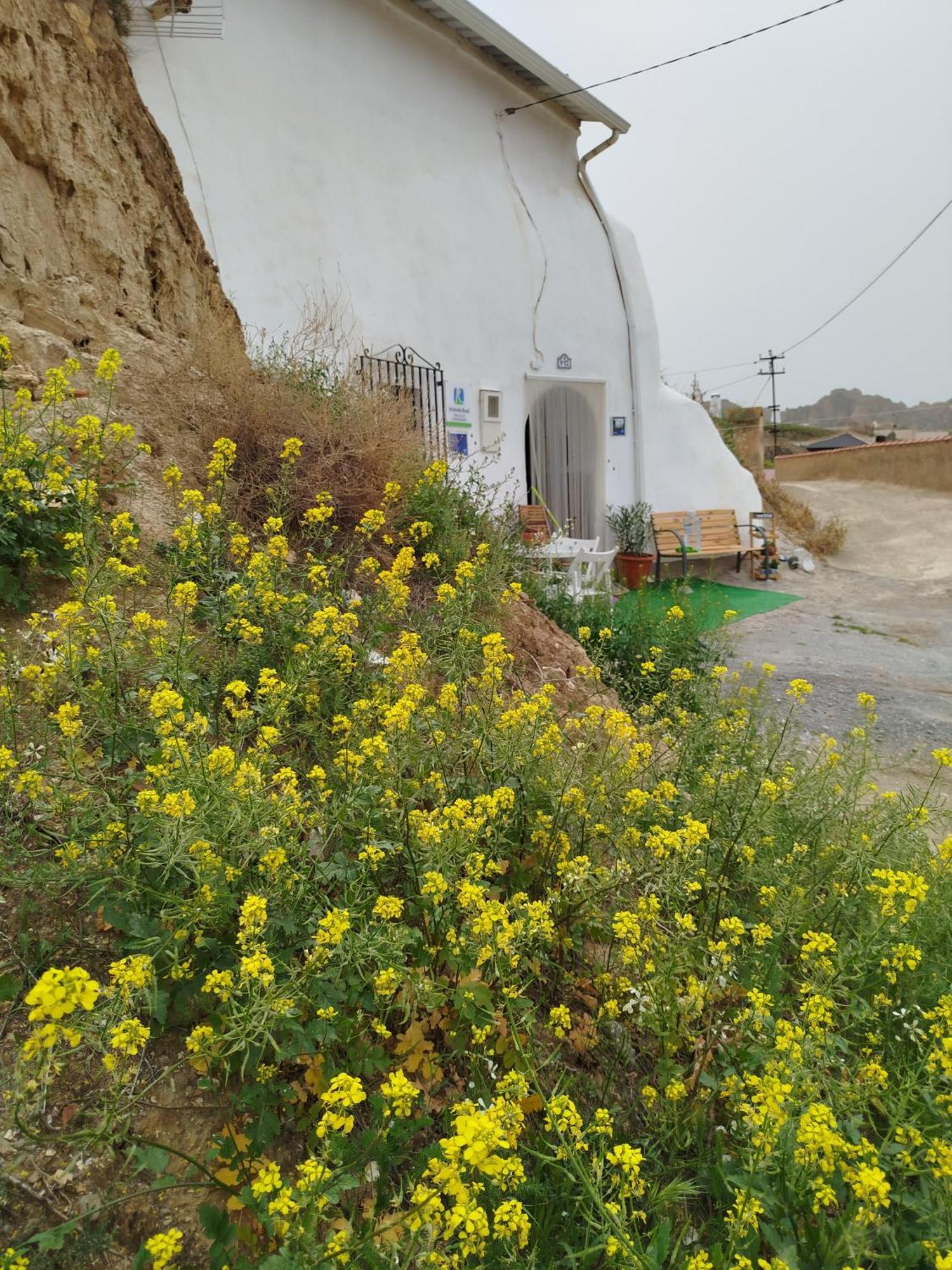 Cueva La Loli Villa Guadix Exterior foto