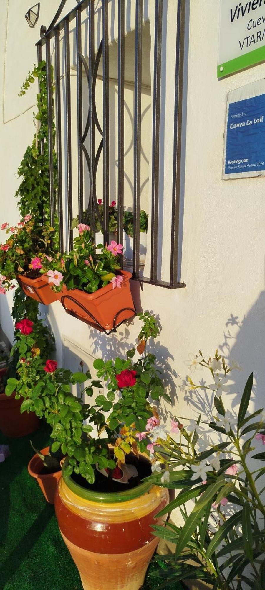 Cueva La Loli Villa Guadix Exterior foto